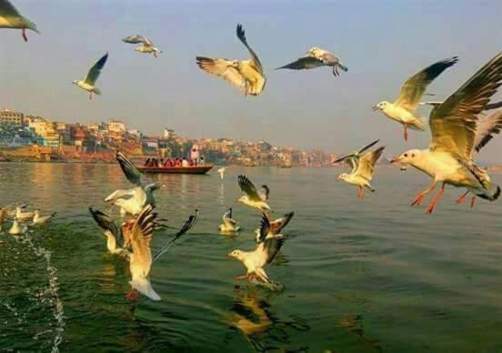 Shiva Ganges View Guest House Váránasí Exteriér fotografie